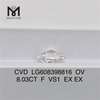 8.03CT Diamantes creados en laboratorio superior F VS1 OV丨Messigems CVD LG608398816 