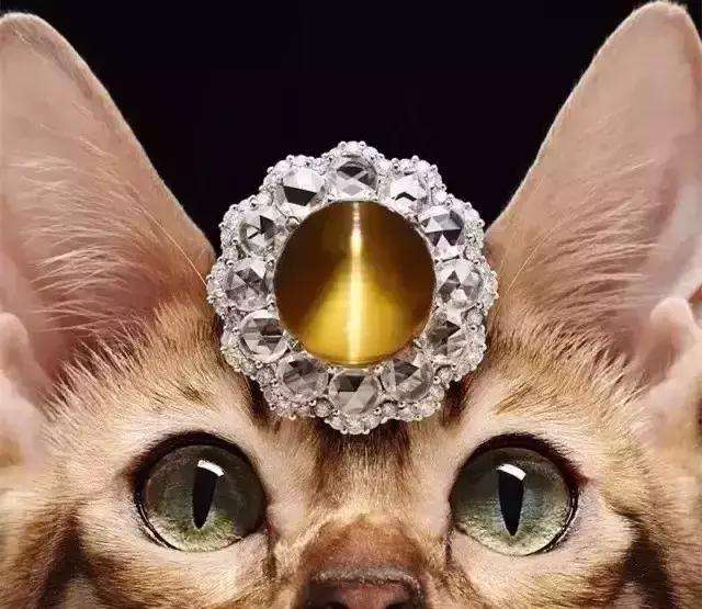 Asterismo ojo de gato