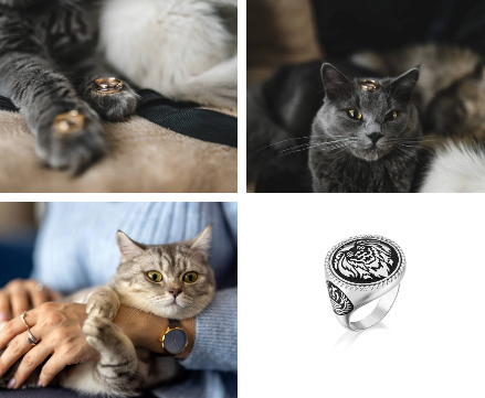 mascota y joyería