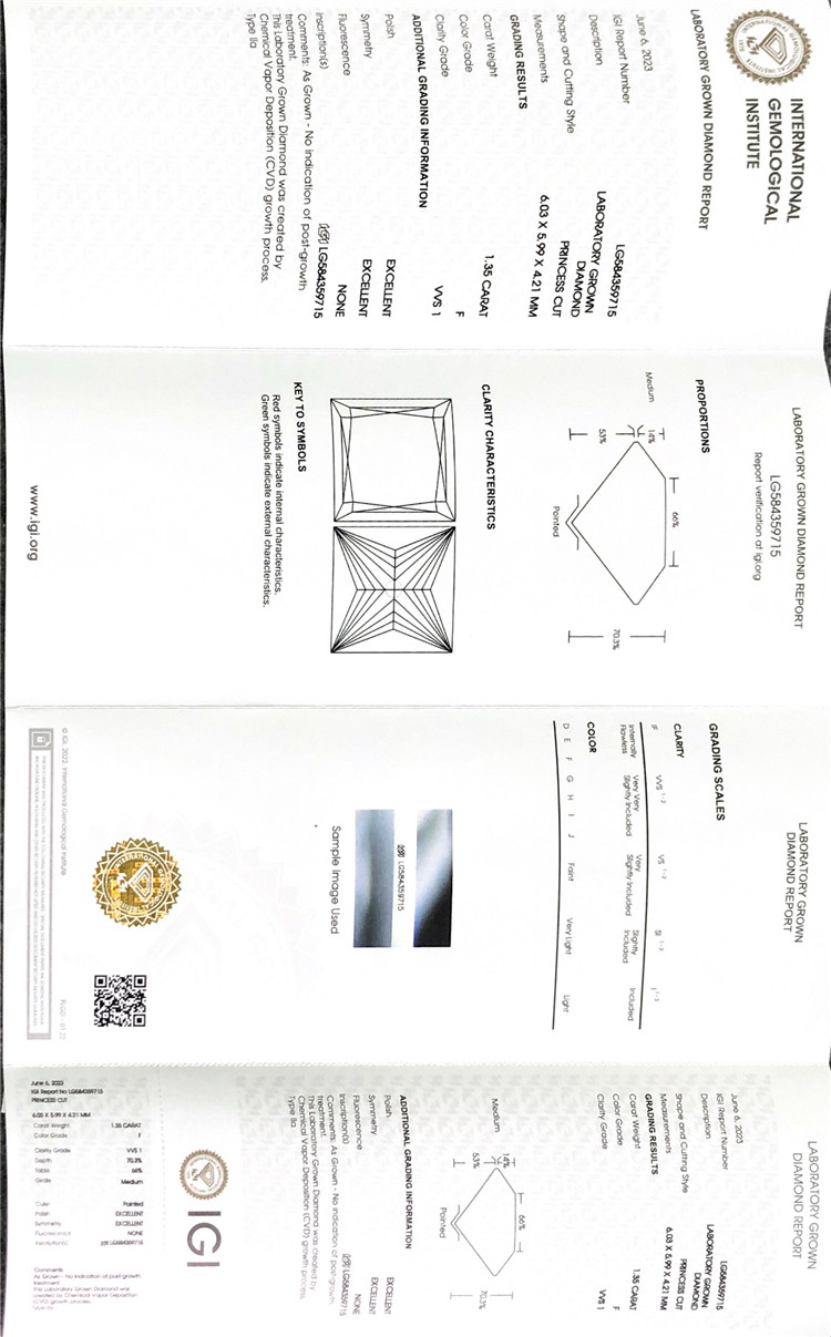 cargos de certificación de diamantes igi