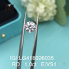 1.0CT E/VS1 Ronda EX VG Lab Grown Diamond Precio de venta al por mayor de diamantes de laboratorio sueltos