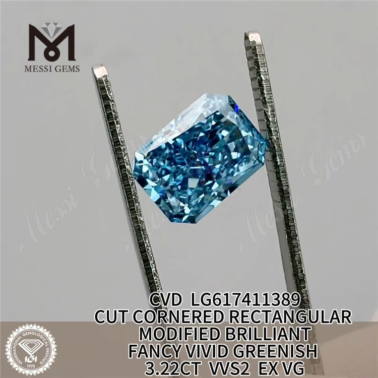 Diamante de laboratorio LG617411389 丨Messigems